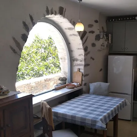 Krokoshouse Krokos